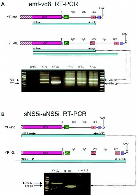 FIG. 3.