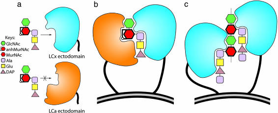 Fig. 5.