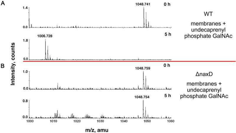 Fig. 6