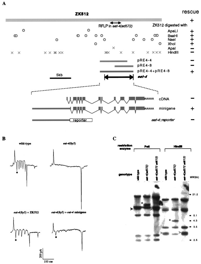 Fig. 1.