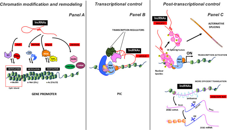 Figure 2.