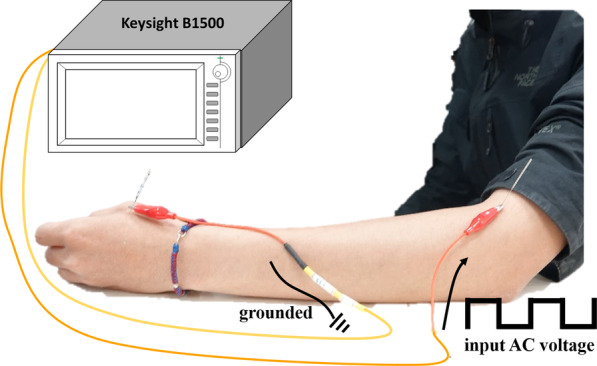 Fig. 2