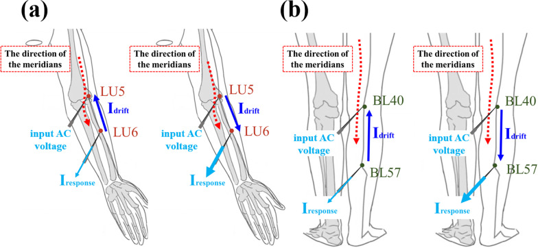 Fig. 10