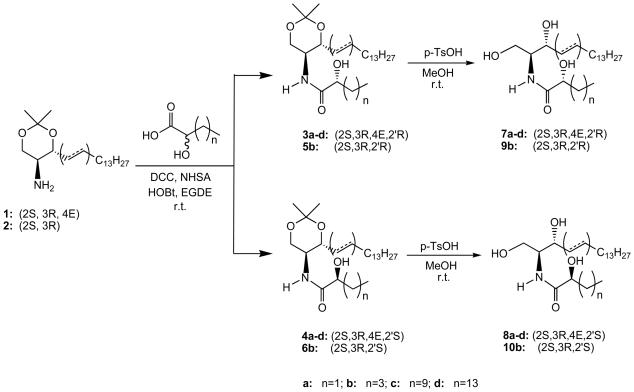 Scheme 2