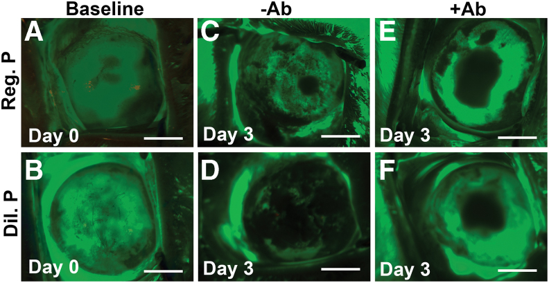 FIG. 4.