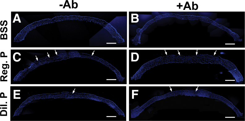 FIG. 6.