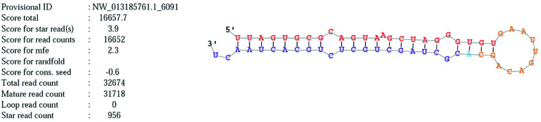 Fig. 8