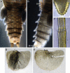 Figure 15.