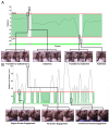 Figure 2 |