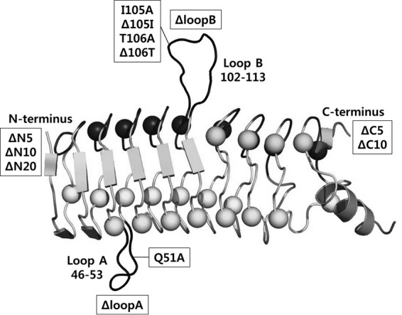 FIG 1