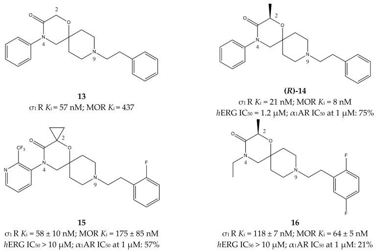 Figure 13