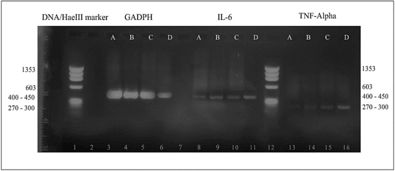 Figure 1