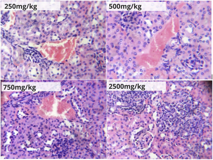 Figure 6