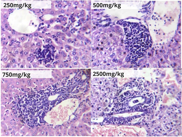 Figure 5