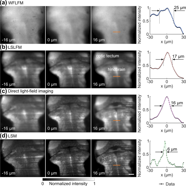 Fig. 6.