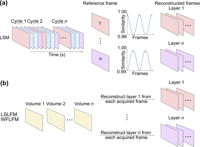 Fig. 3.