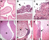FIG. 4.