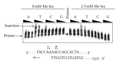 Figure 5