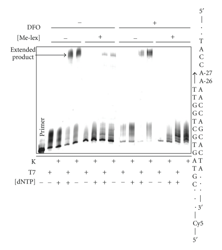 Figure 4