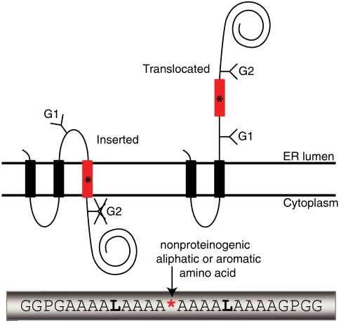 Fig. P1.