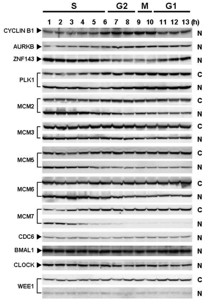 Figure 2.