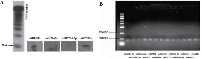 Figure 5.