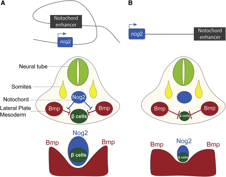 Figure 6