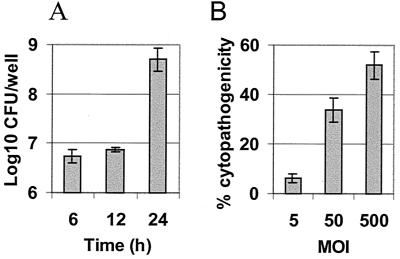 FIG. 1