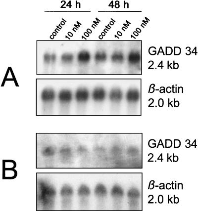 FIG. 7