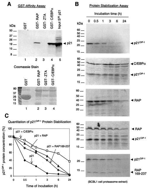 FIG. 8.