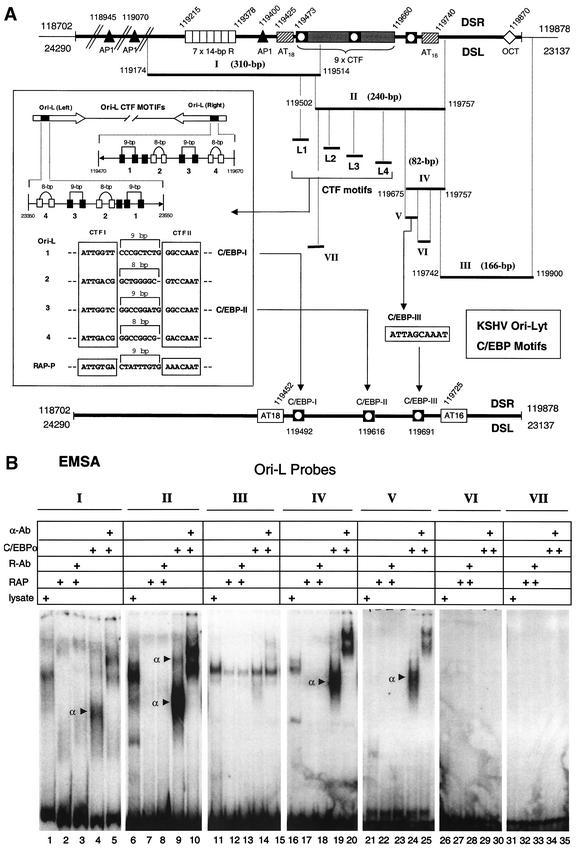 FIG. 10.