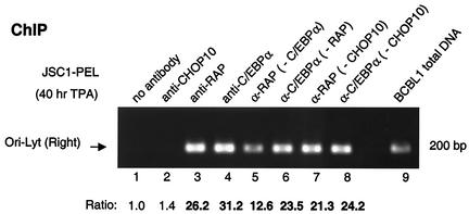 FIG. 11.