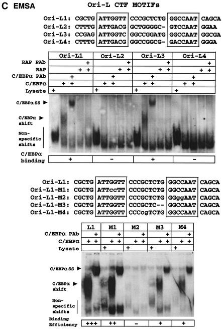 FIG. 10.