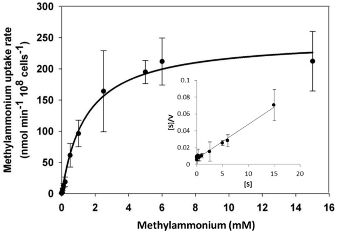 FIGURE 10