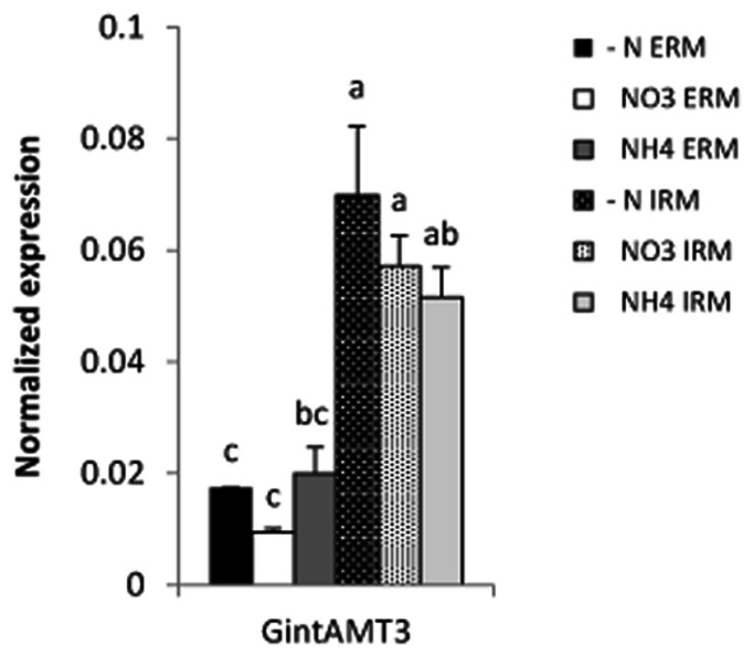 FIGURE 9