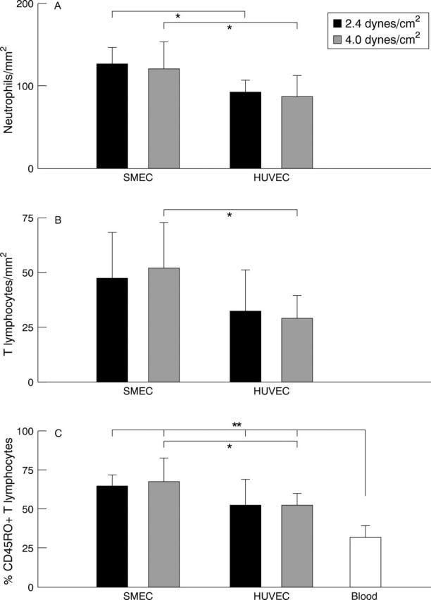 Figure 4  