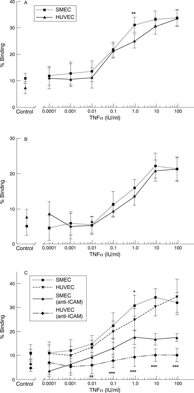 Figure 3  