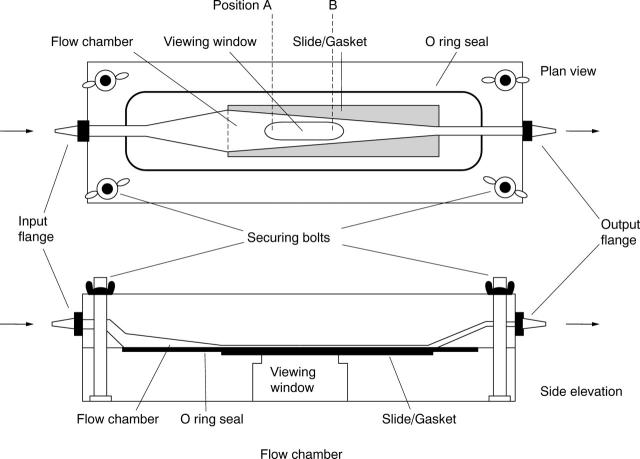 Figure 1  