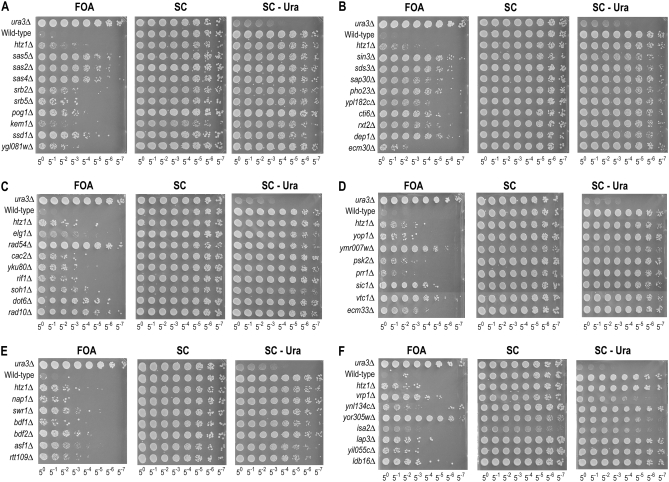 Figure 2.—