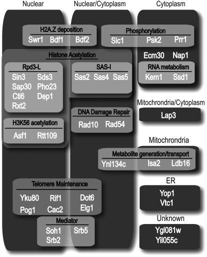 Figure 6.—