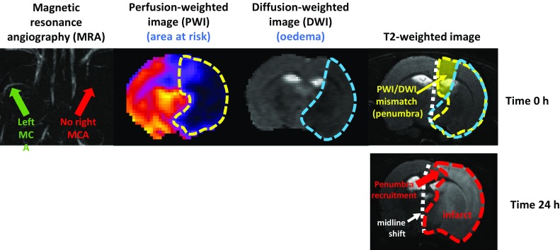 Fig. 2