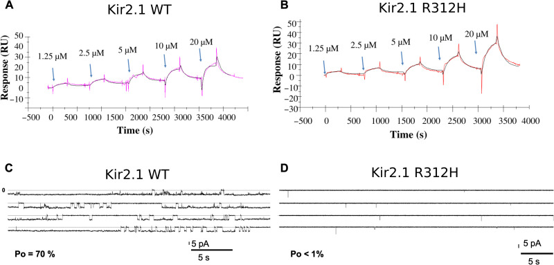 Fig. 4.