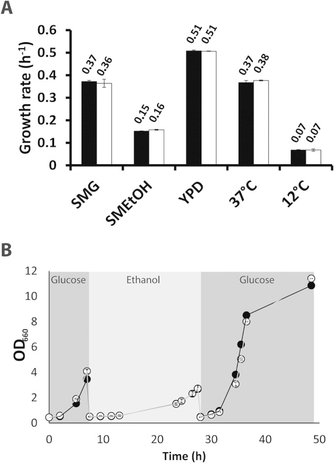 FIG 4