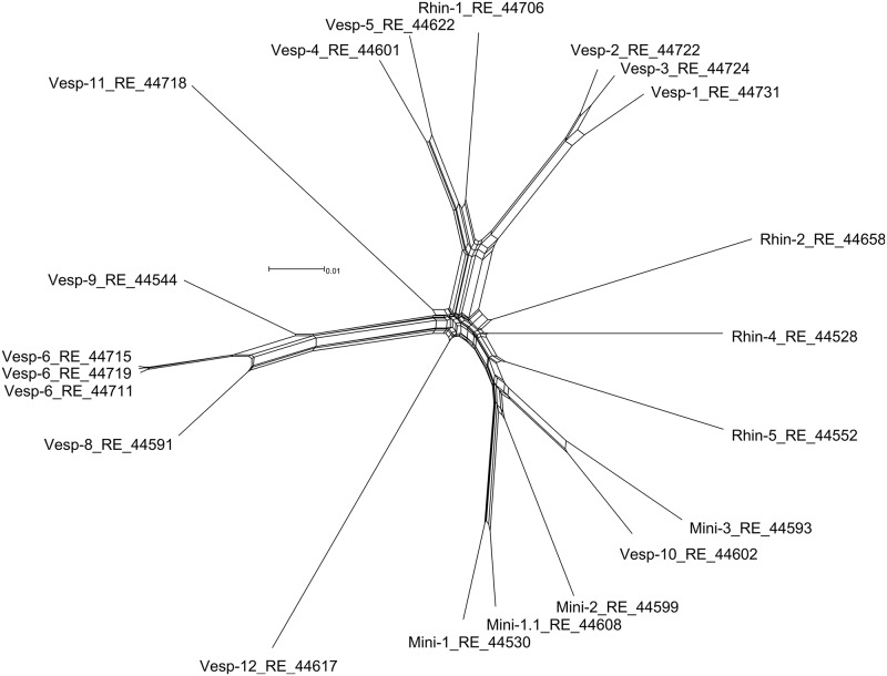 Fig 3