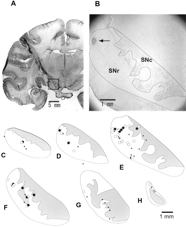 Fig. 10.