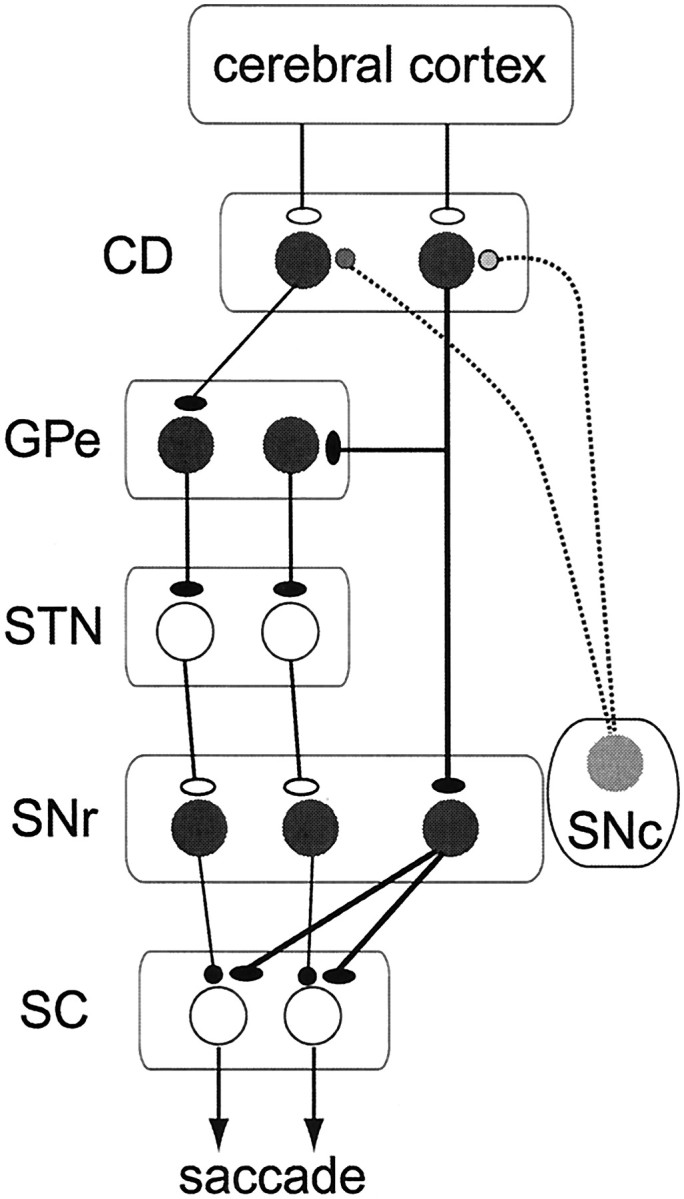 Fig. 11.