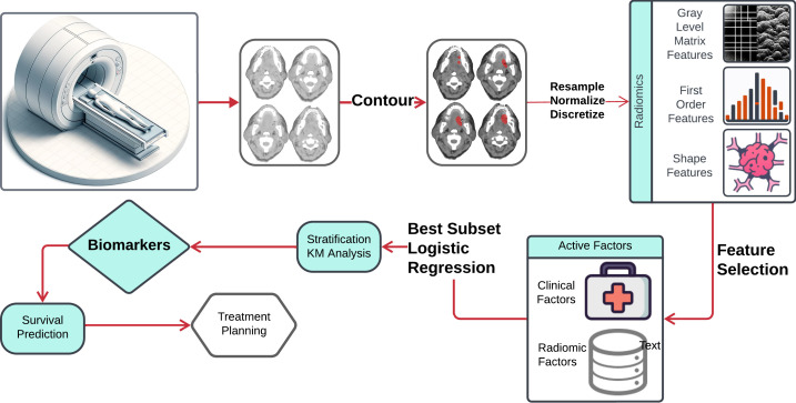 Figure 1