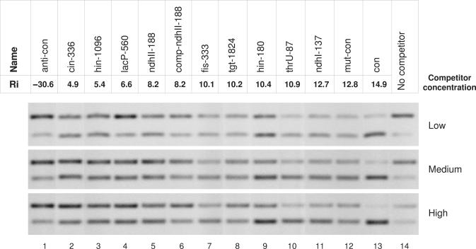 Figure 5.