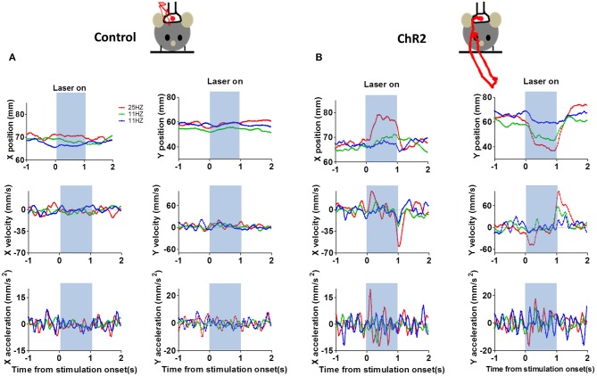 Figure 12