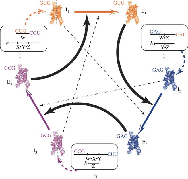 Figure 5.